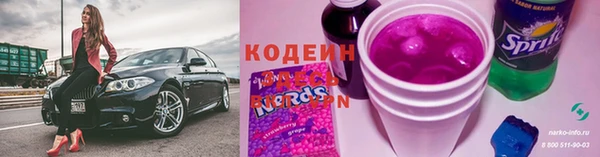 прущая мука Вяземский