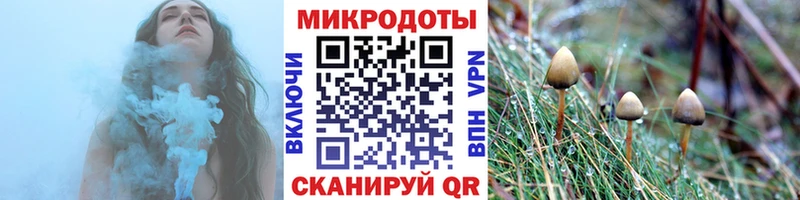 Псилоцибиновые грибы прущие грибы  Купить где  Александровское 